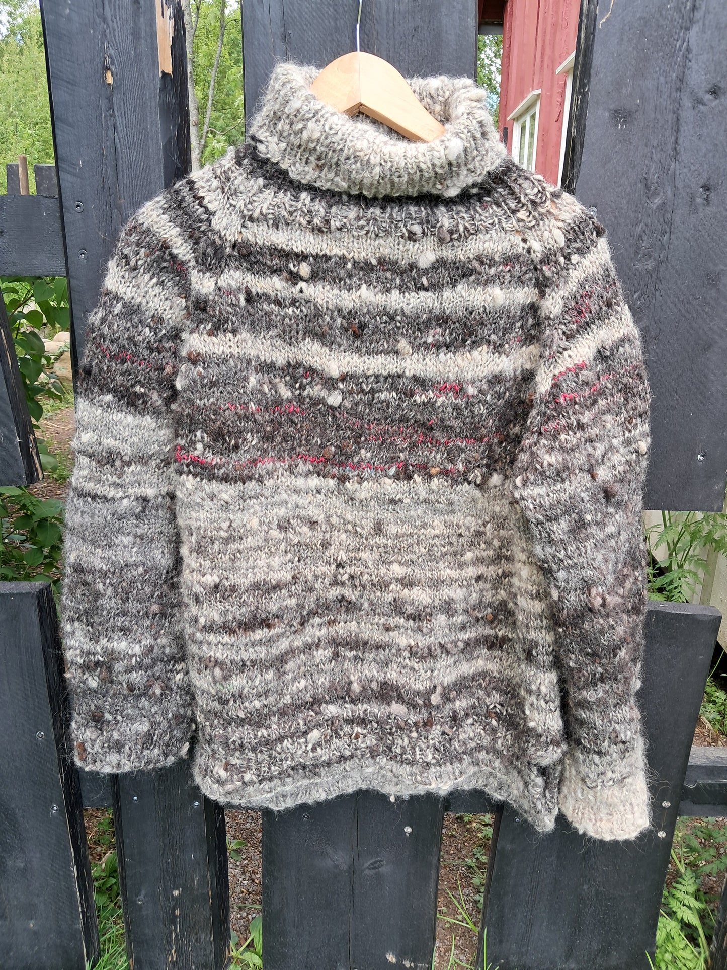 Villgenser nr. 1